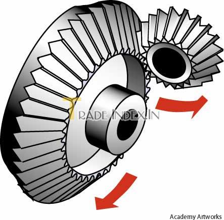 Bevel Gears