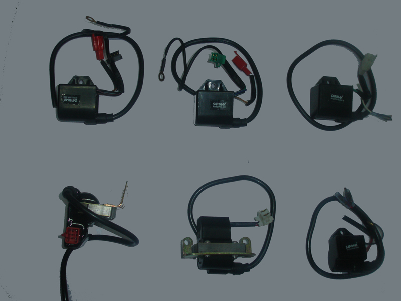 Ignitor Coils