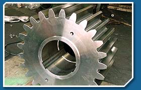 Pinion Gears